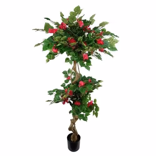 Leaf Design UK Realistic Artificial Japanese Fruticosa Ficus Tree in Green and Black, H 150 cm x W 70 cm x D 70 cm