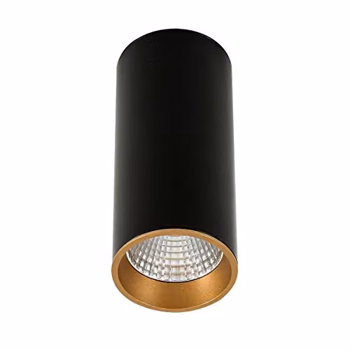 Netlighting Modern Technical LED Surface Mounted Cylinder Ceiling Light in Black and Gold with Warm White 3000K 820lm