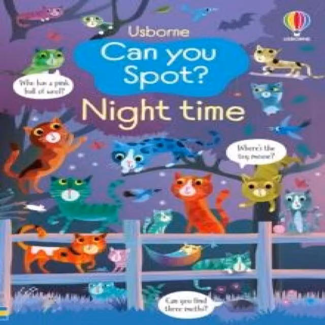 Can You Spot? Night Time by Kirsteen Robson, Usborne Publishing Ltd, Multicolour Paperback Book