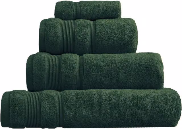 Allure Bath Fashions Pack of 2 Fluffy Egyptian Cotton Towels with Border, Green, W: 70 cm, L: 120 cm