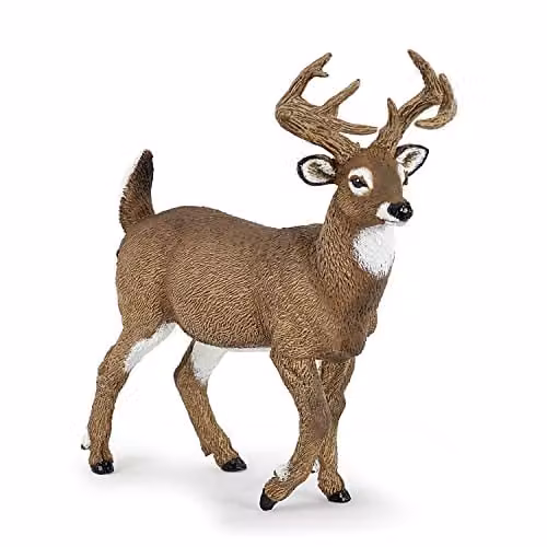 Papo Wild Animal Kingdom White-Tailed Deer Realistic Brown Figurine
