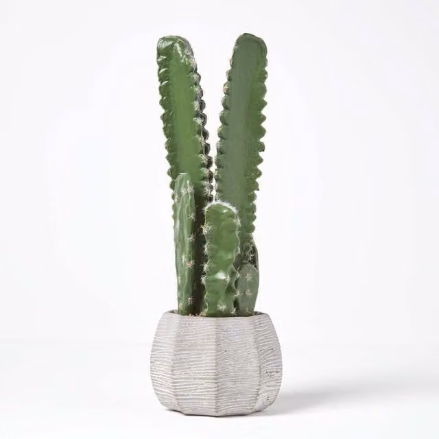 Homescapes Echinopsis Peruviana Artificial Green Succulent Cactus in a Grey Stone Pot
