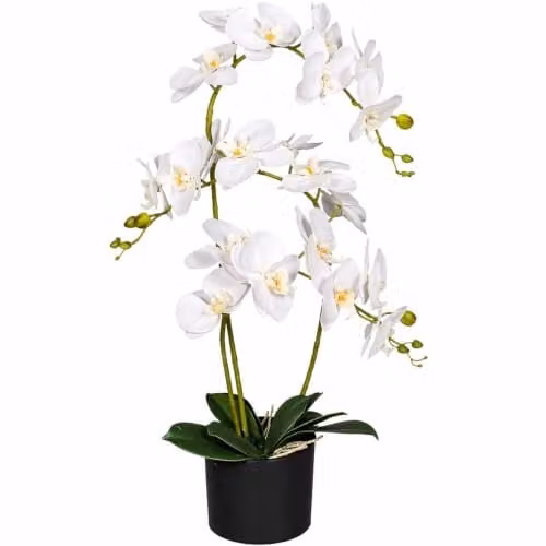 Leaf Design UK Realistic Artificial White and Green Orchid Flower Display in Pot, H 65 cm x W 40 cm x D 40 cm – 1