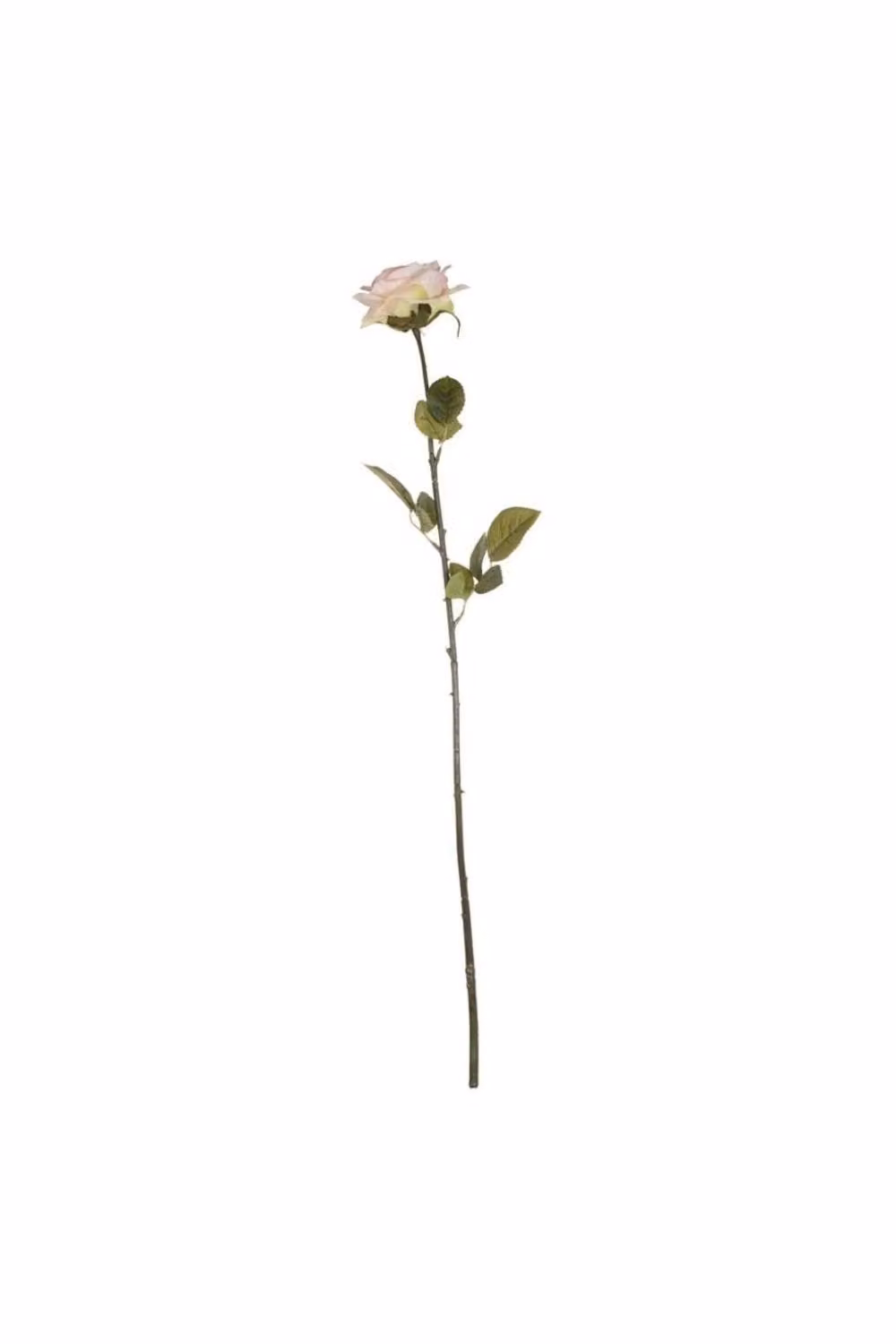 KDMD Vintage Rose Blush Pink Floral Textile 3 Pack – 2