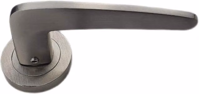 Golden Grace Brushed Silver Door Handles