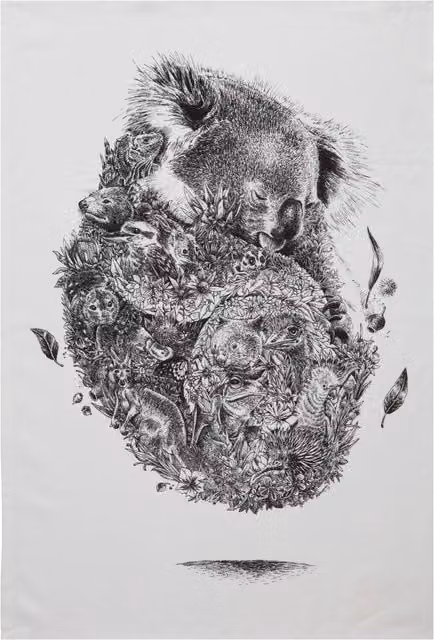 Maxwell & Williams Marini Ferlazzo Koala Cotton Tea Towel in Black and White