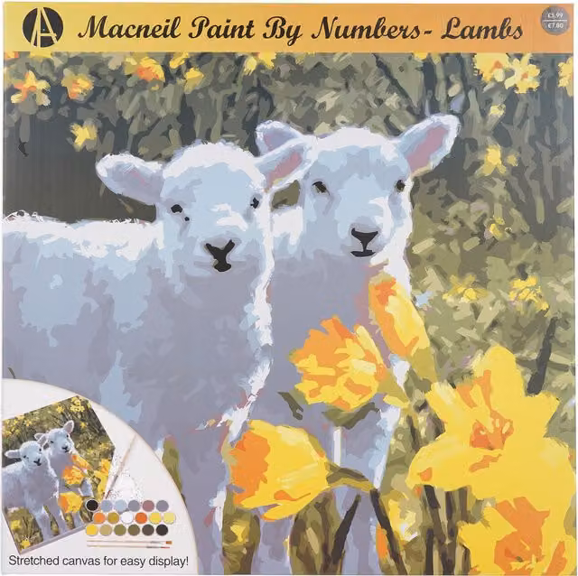 MacNeil Lambs or Puppies Paint by Numbers Multicolour Canvas Kit for Adults