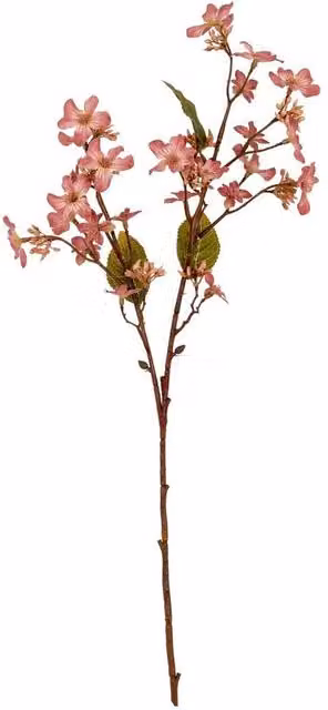 Lemon Pavilion Furniture and Decor Vernicia Fordii Pink Artificial Spray Flower, W: 10 cm, D: 22 cm, H: 63 cm