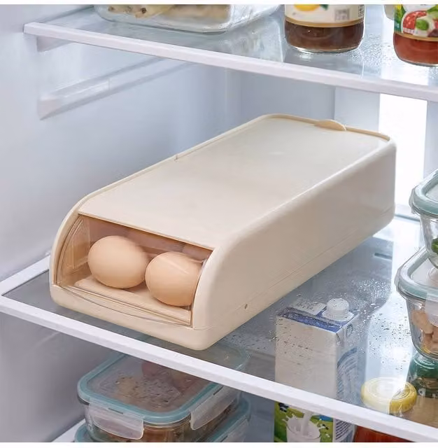 Living and Home Single-Tier 2-Row Rolling Egg Holder Storage Organiser in Beige – 1