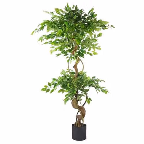 Leaf Design UK Twisted Trunk Artificial Japanese Fruticosa Ficus Tree with Black Planter, Green – 1
