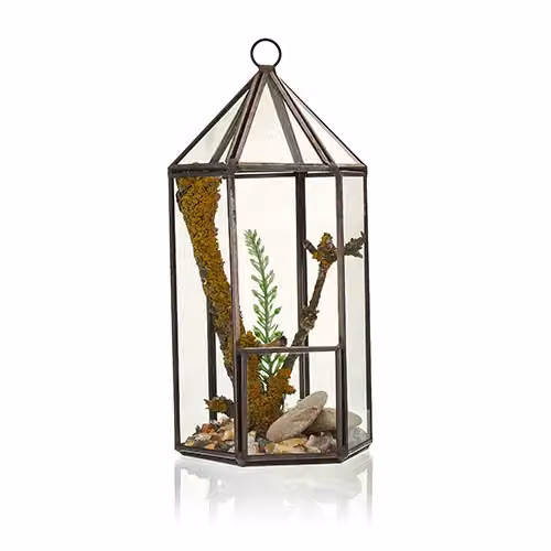 KDMD Geometric Glass and Metal Lantern Shape Terrarium in Brown – 2