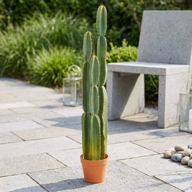 Garden Greatness Artificial Potted Cereus Cactus Succulent in Green