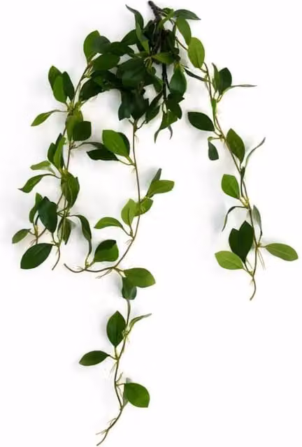 Leaf UK Artificial Ficus Vine Hanging Plant, Green, Height: 55 cm