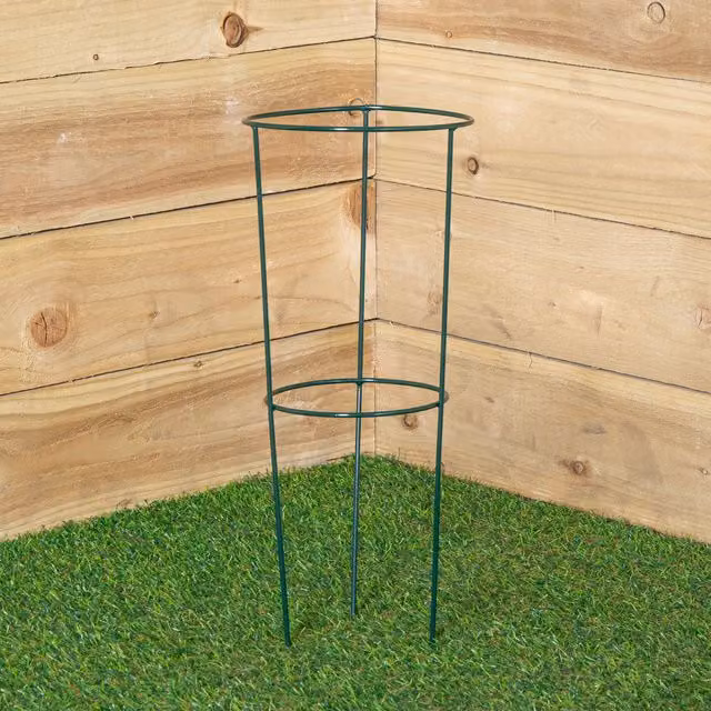 Samuel Alexander Tom Chambers Urban Green Conical Garden Plant Support Ring, Dark Green, Diameter: 20 cm