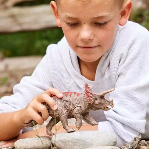 Schleich Triceratops Dino Figurine, Multicolour Static Animal Toy – 5