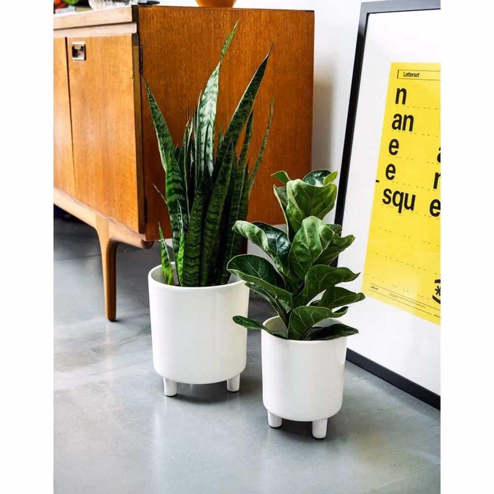 Lemon Pavilion Pisa Ceramic Tabletop Planter, White, W: 20 cm, D: 20 cm, H: 24 cm – 2