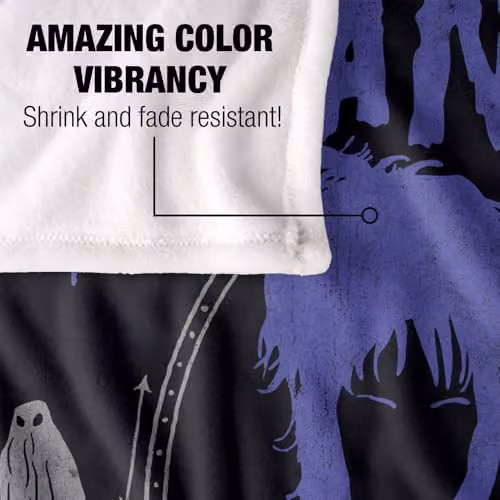 Warner Bros. Beetlejuice Strange and Unusual Super Soft Silky Touch Fleece Throw Blanket, Multicolour, W: 152.4 cm x D: 127.0 cm – 3