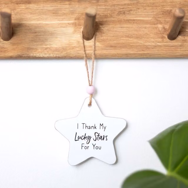 Kingsbury Gifts Lucky Stars Small White Hanging Star Sentiment Wall Plaque with Thank You Typography