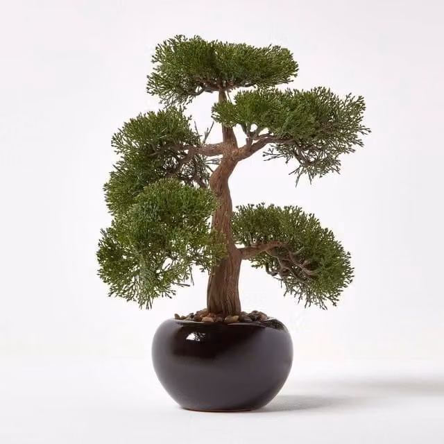 Homescapes Artificial Oriental Bonsai Tree in a Black Ceramic Pot, Green