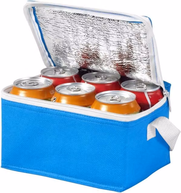 Bullet Spectrum 6 Can Cooler Bag Pack of 2 in Mid Blue