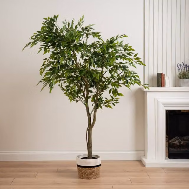 Scottish Everlastings Ltd 170cm Real Touch Ficus Tree in Green Plastic Pot
