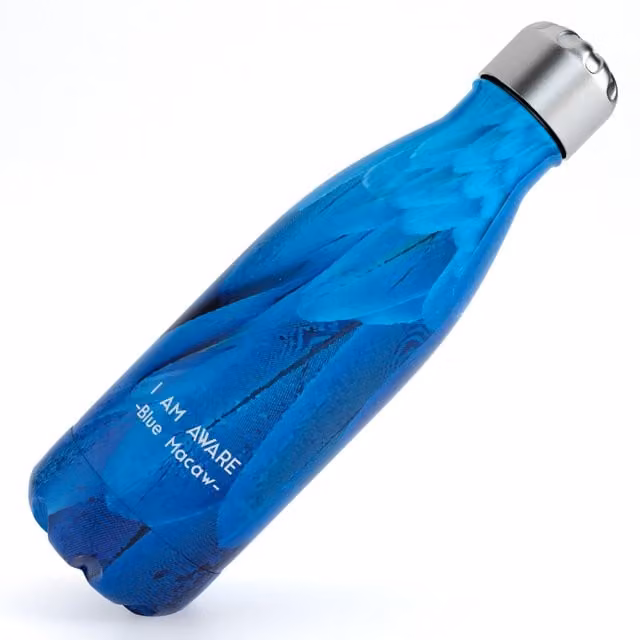 Tadge Insulated Stainless Steel Water Bottle, Blue Macaw Turquoise, 500 ml