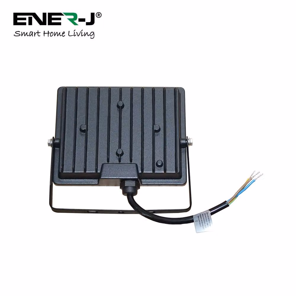 ENER-J 30W LED Black Garden Floodlight with Series 500W Controller – 2