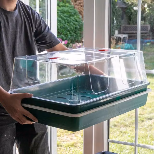 Marshalls Garden XL High Dome Electric Propagator in Green and Transparent