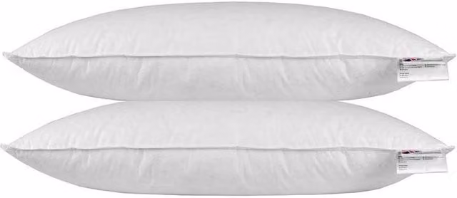 Homescapes Duck Feather and Down Euro Continental Pillow Pair, White, W/D/H: 40 x 80 cm