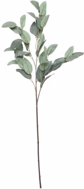 KDMD Green Eucalyptus Spray