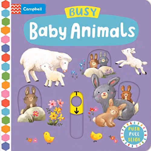 Busy Baby Animals: A Push, Pull, Slide Board Book by Ag Jatkowska from Campbell Books, Multicolour