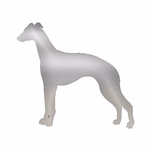 Whippet Style 2 Extra Large Silver Acrylic Pet Mirror, W: 60.0 cm, H: 60.0 cm, D: 2.0 cm