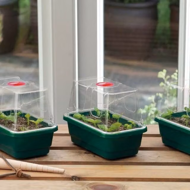 Garland Set of 3 Mini High Dome Propagators in Green and Transparent