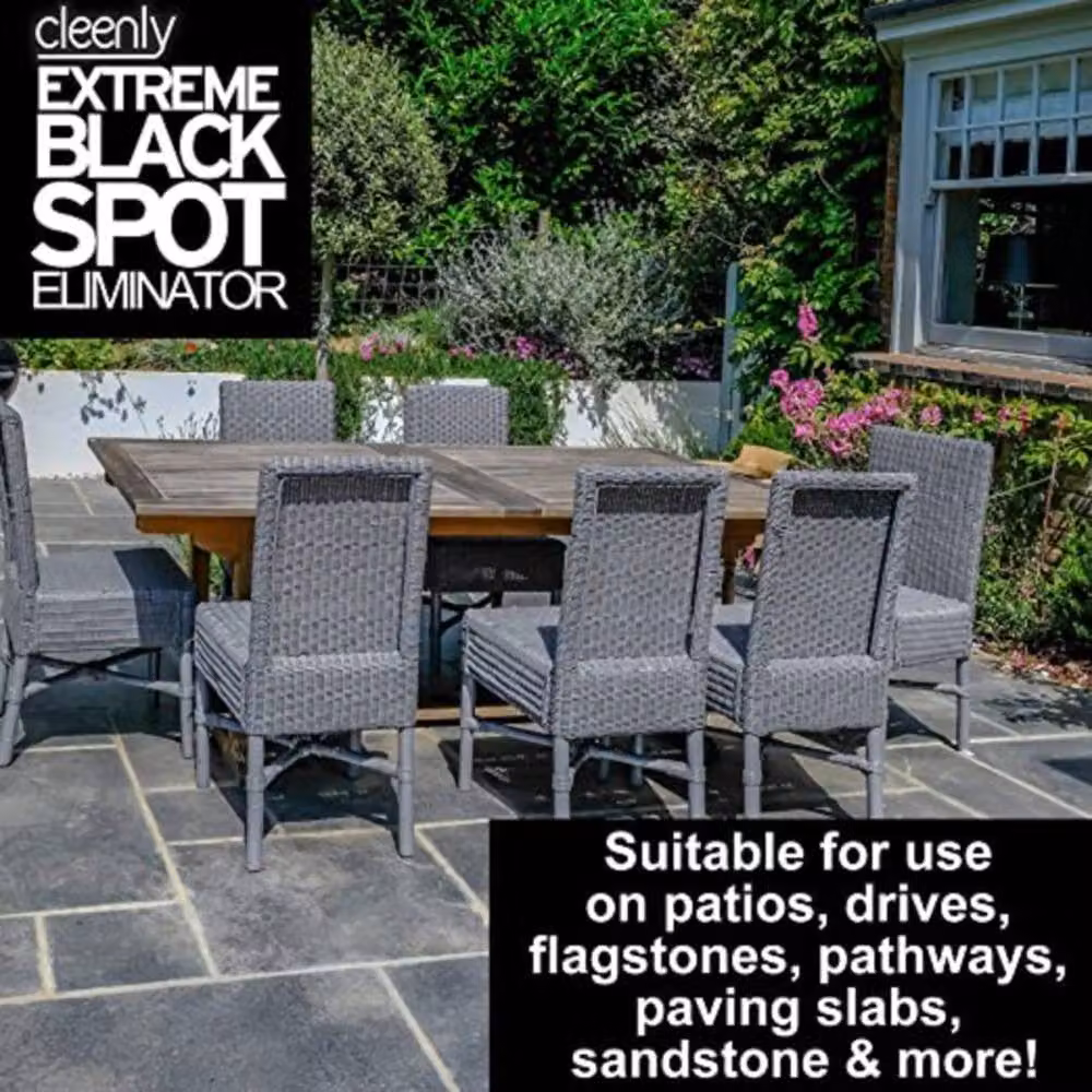 Cleenly Black Spot Destroyer for Patios, Paving and Drives, Clear, 2 Pack – 2