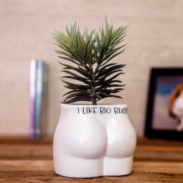 Boxer Gifts I Like Big Buds Put Some Plants On In White Ceramic Tabletop Planter – 1