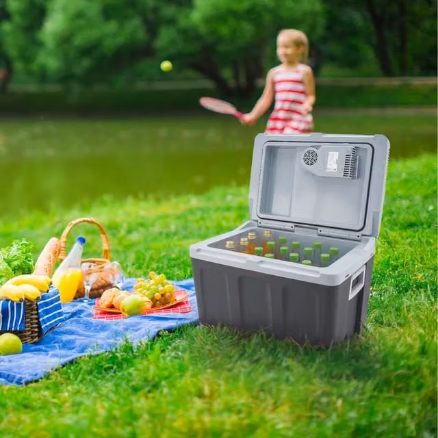 AREBOS Electric Cooler Box with ECO Mode in Anthracite, 40l