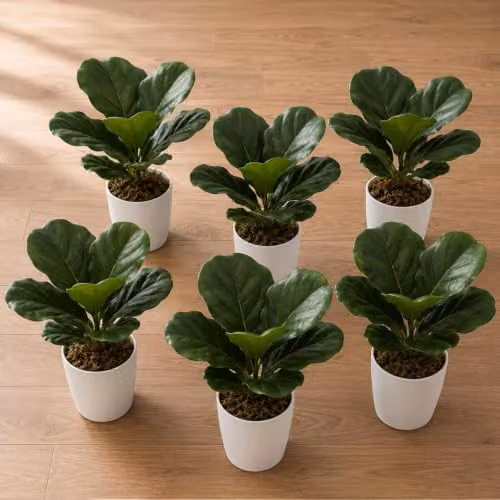 Leaf UK Pack of 6 Realistic Green Artificial Potted Foliage Plants for Tabletop
