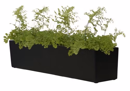 Primrose Fibreglass Herb Garden Indoor Outdoor Window Box Planter, Black, H: 20 cm, L: 76 cm