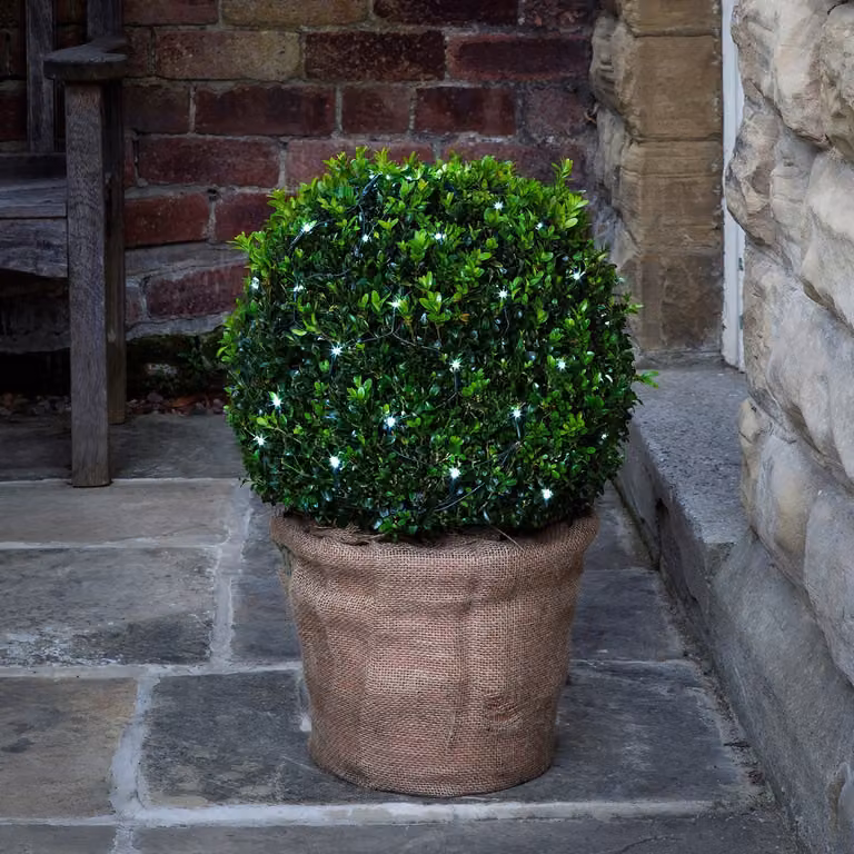 Lights4fun 60 Cool White LED Battery Operated Round Topiary Net Light in Green and White