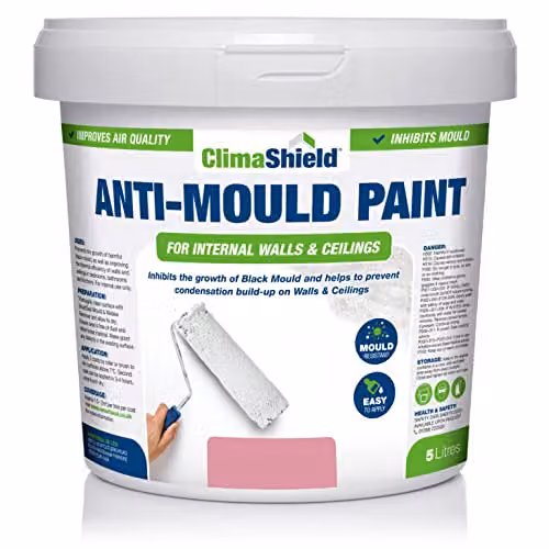 ClimaShield Anti Mould Paint in Berry Sorbet Pink, 5L