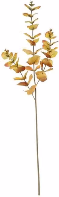 KDMD Glamis Eucalyptus Spray in Orange, 2 Pack, Height: 73 cm