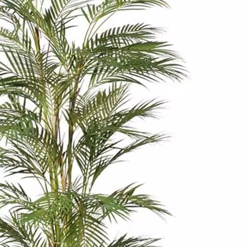 Leaf UK Large Artificial Areca Palm Tree, Green, Height: 180 cm – 3
