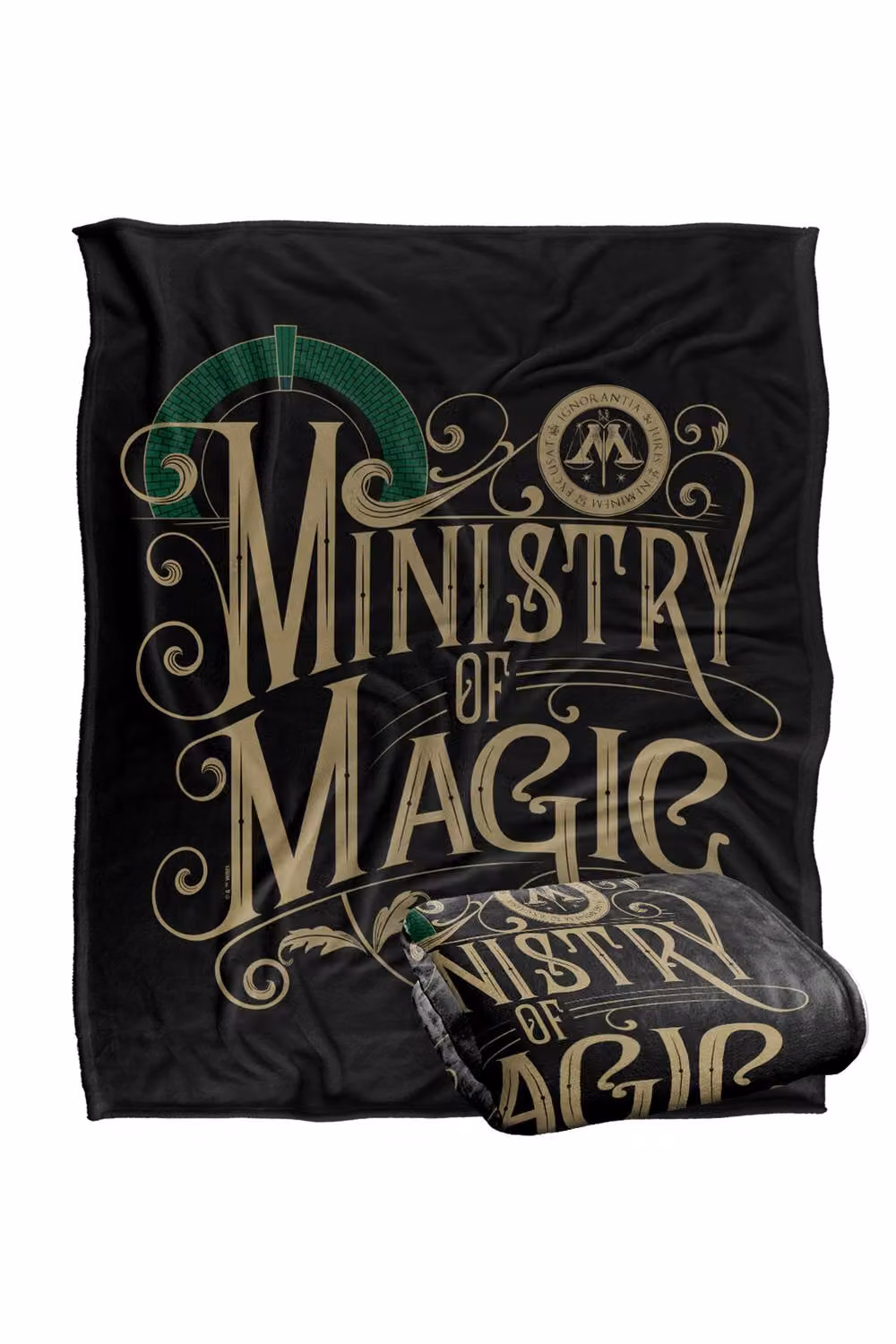 Warner Bros. Harry Potter Ministry of Magic Silky Touch Super Soft Fleece Throw Blanket, Multicolour, W: 127 cm x D: 152 cm – 7