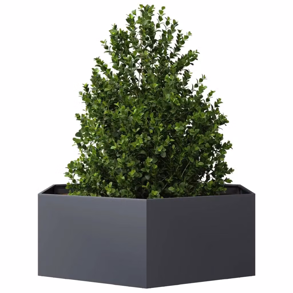 Berkfield Home Garden Anthracite Hexagon Steel Planter in Black, W: 138 cm, D: 120 cm, H: 45 cm – 3