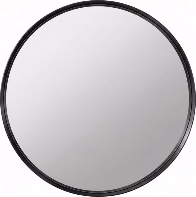 Biznest Large Round Minimalist Deep Frame Wall Mirror in Black