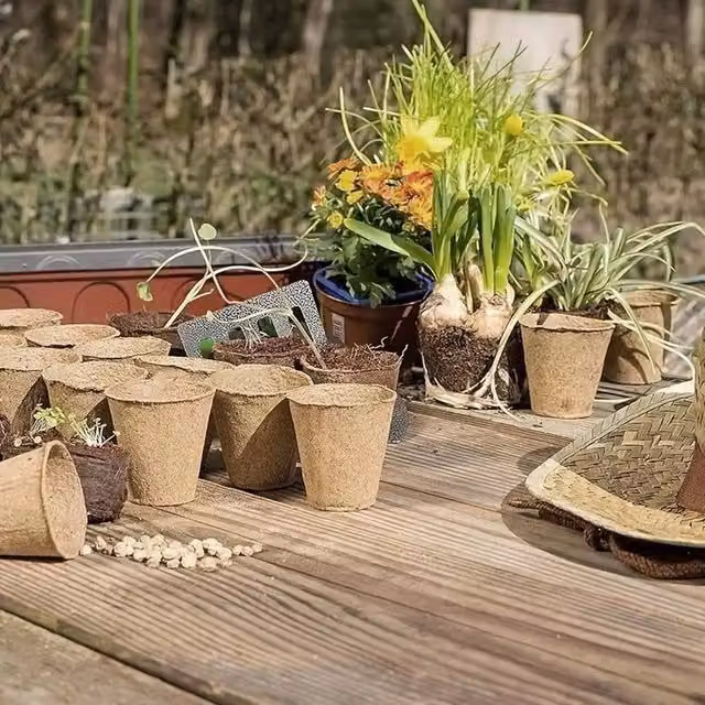 FLAVORA 200CS Grow It Biodegradable Fibrene Planter Pot, Brown, Diameter: 6 cm