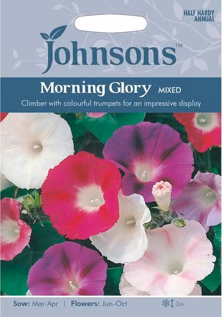 Johnsons Mixed Morning Glory Multicolour Climbing Flower Seeds for Ornamental Gardens