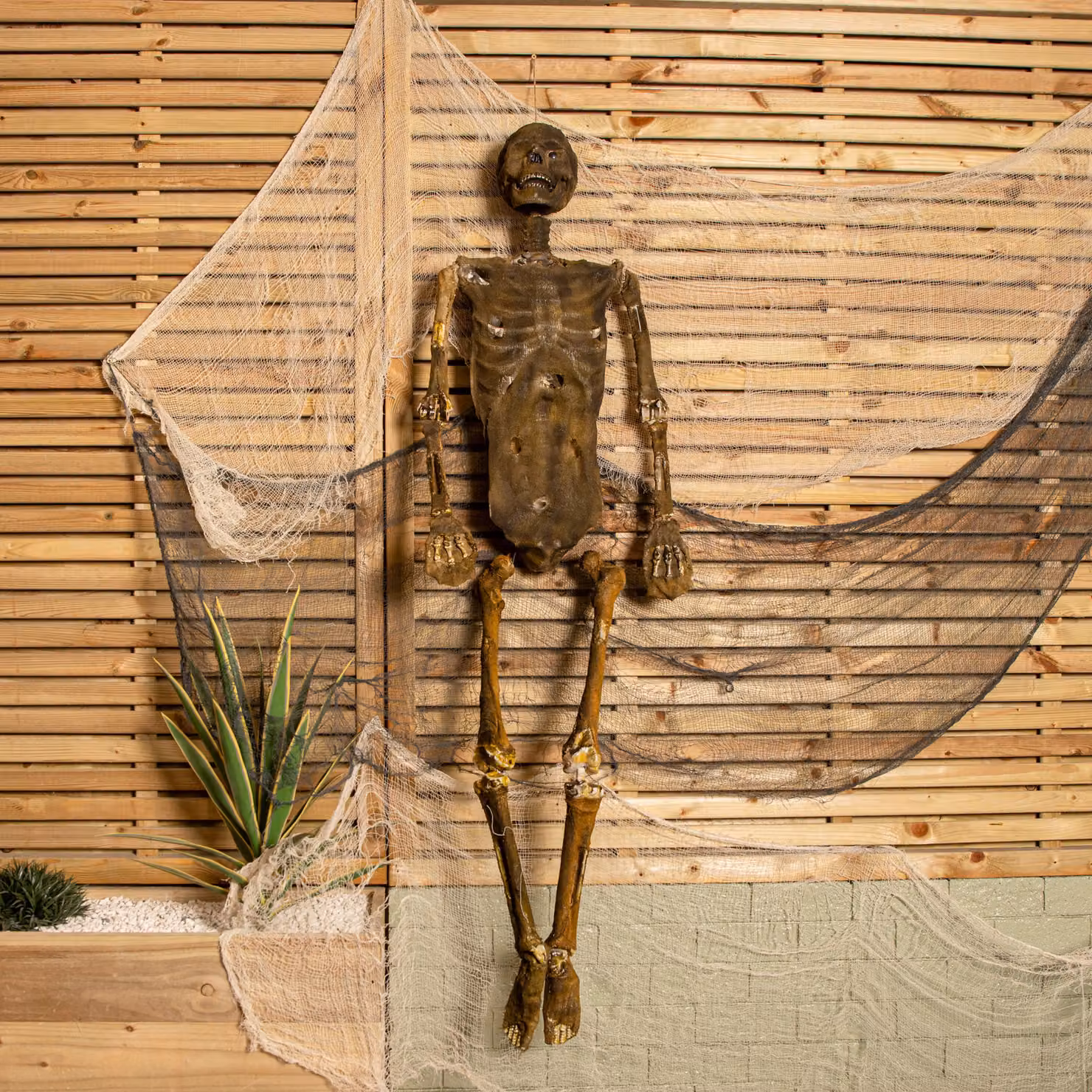 Samuel Alexander 150cm Full Body Mummified Skeleton Halloween Decoration with Posable Joints in Brown – 3