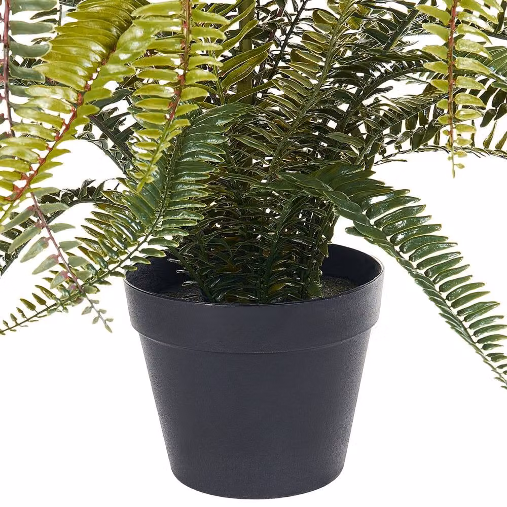 Wyld and Coco Lifelike Evergreen Potted Fern in Green with Concrete Base, Height: 105 cm – 3