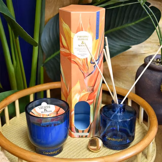 Madison & Mayfair Paradise Flower & Mango Reed Diffuser in Blue